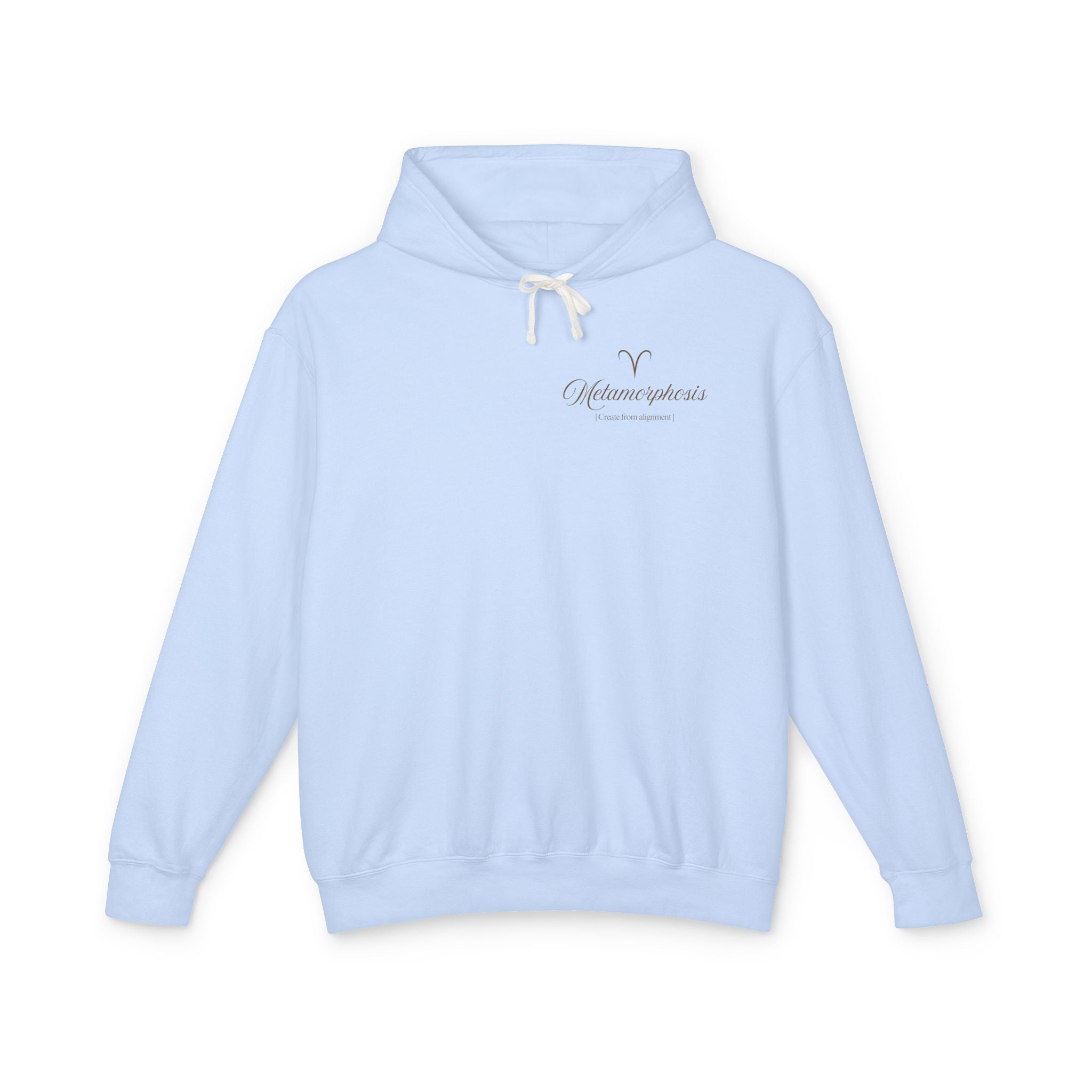 ARIES 2026 HOROSCOPE HOODIE